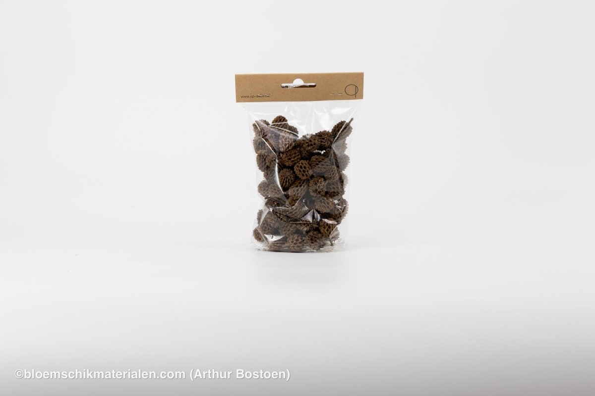 CASURINA NATUREL (75GR) - bloemschikmaterialen.com