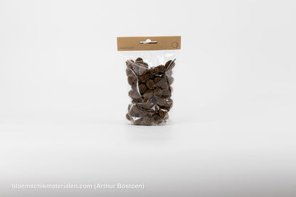 CASURINA NATUREL (75GR) - bloemschikmaterialen.com