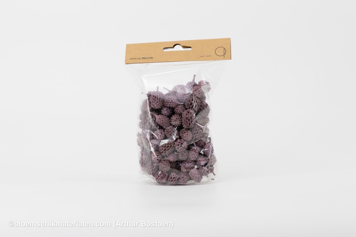CASURINA PAARS (75GR) - bloemschikmaterialen.com