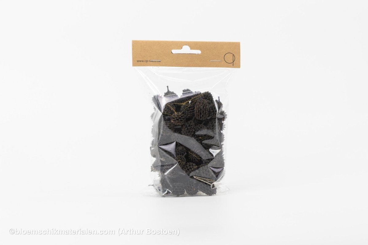 CASURINA ZWART (75GR) - bloemschikmaterialen.com