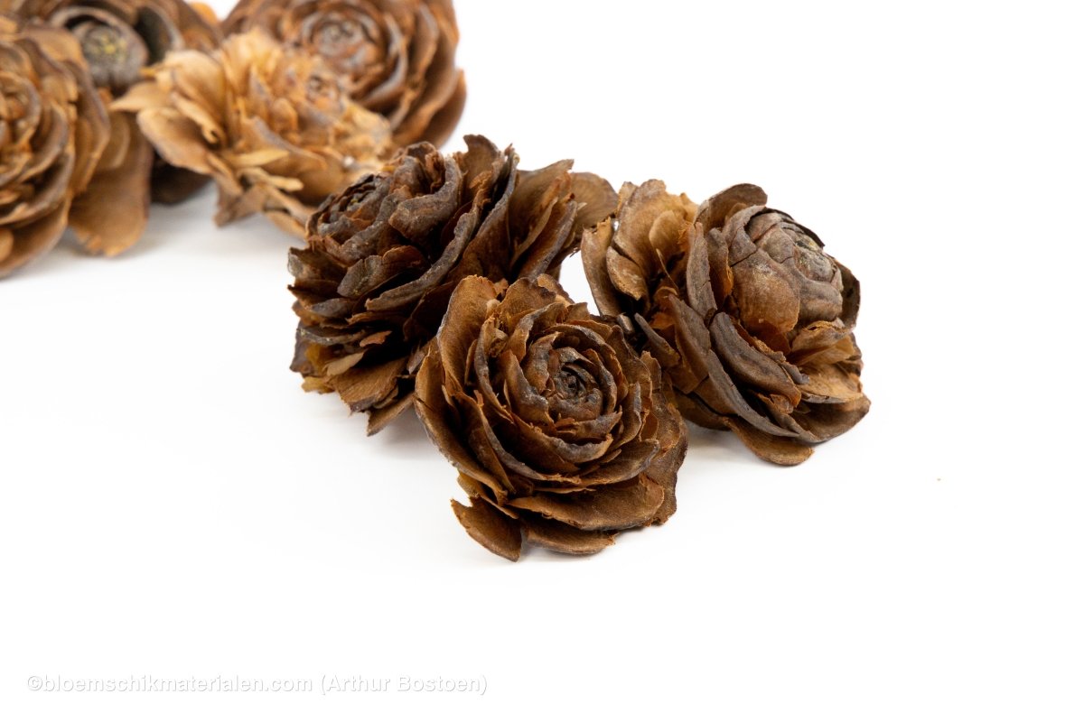 CEDER ROSE NATUREL 40ST - bloemschikmaterialen.com