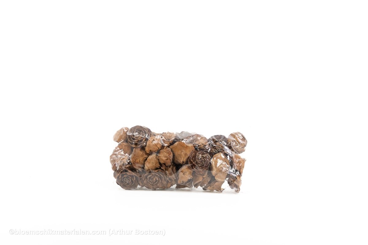 CEDER ROSE NATUREL 40ST - bloemschikmaterialen.com