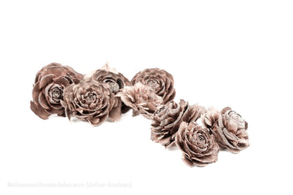 CEDER ROSE WHITE WASH 40ST - bloemschikmaterialen.com