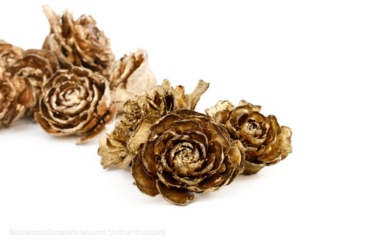 CEDER ROZEN GOUD 10ST - bloemschikmaterialen.com