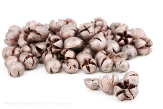 CHILONI PEARL PINK +/-100GR