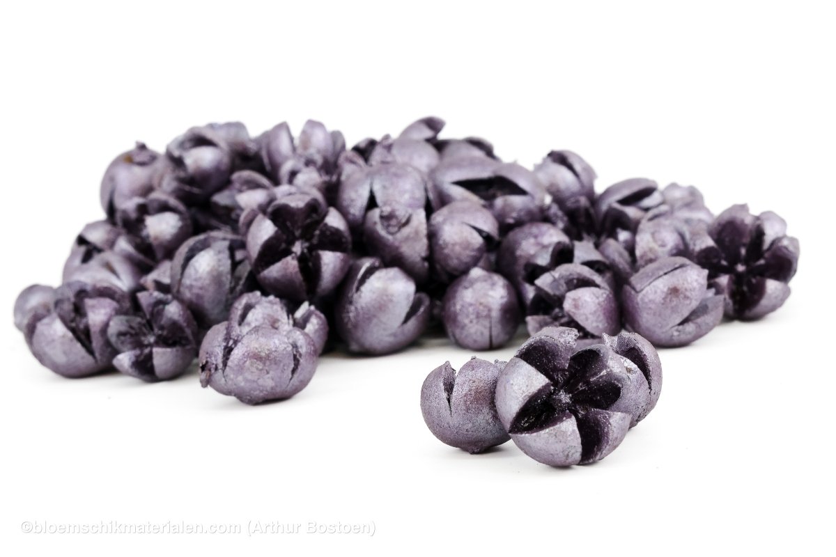 CHILONI BORDEAUX +/ - 1KG - bloemschikmaterialen.com