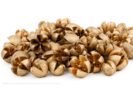 CHILONI GOUD +/ - 1KG - bloemschikmaterialen.com