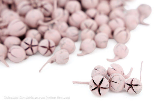CHILONI PASTEL PINK +/-100GR - bloemschikmaterialen.com