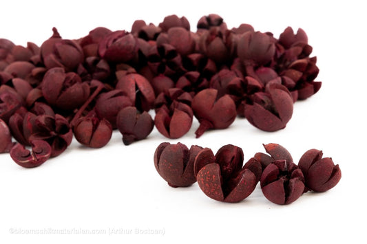 CHILONI ROOD +/ - 1KG - bloemschikmaterialen.com