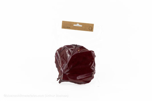 COBRA BLAD BORDEAUX 10ST - bloemschikmaterialen.com