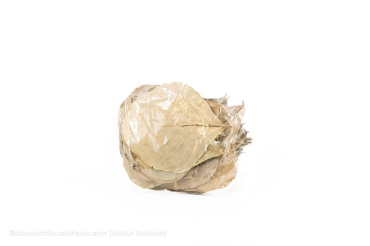 COBRA BLAD GEBLEEKT 50ST - bloemschikmaterialen.com