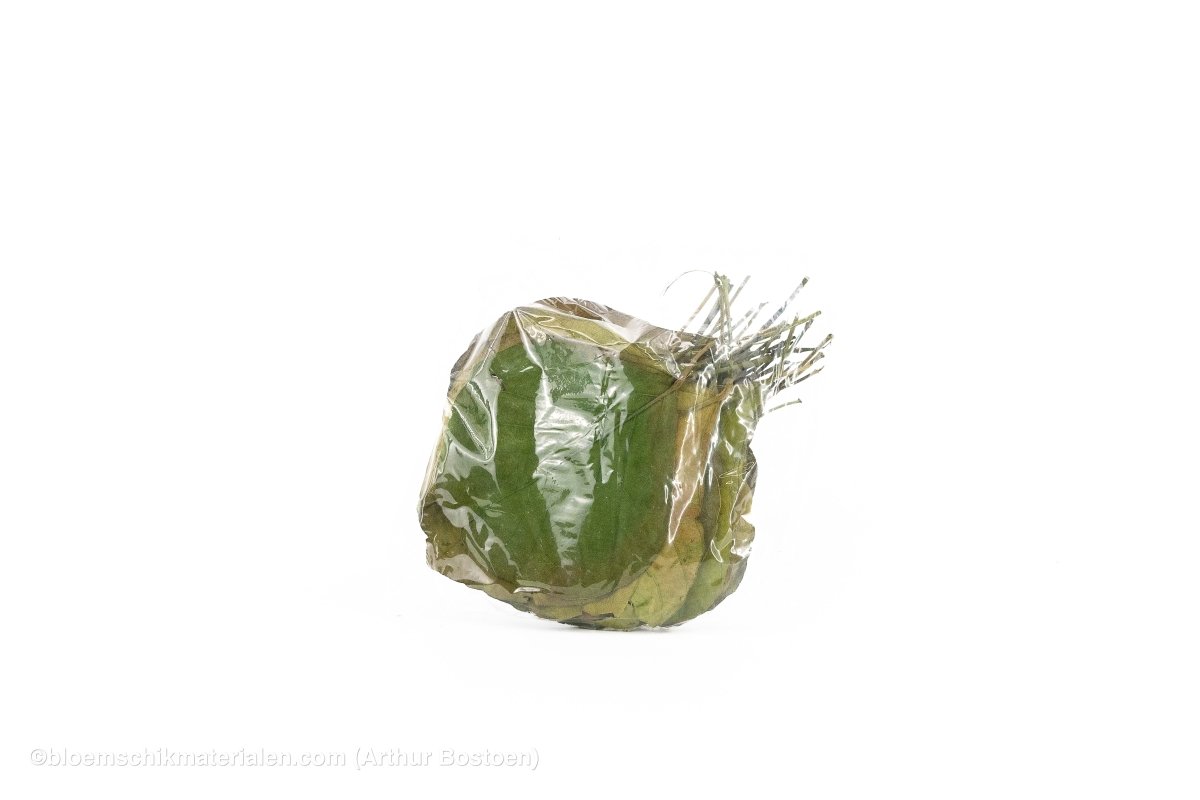 COBRA BLAD GROEN 50ST - bloemschikmaterialen.com