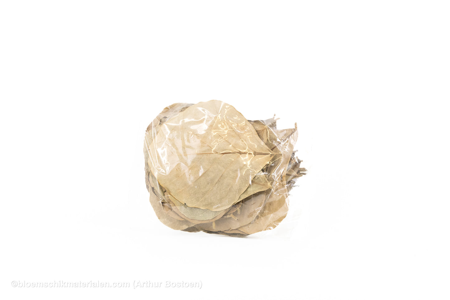 COBRA BLAD GEBLEEKT 50ST