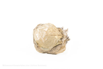 COBRA BLAD GEBLEEKT 50ST