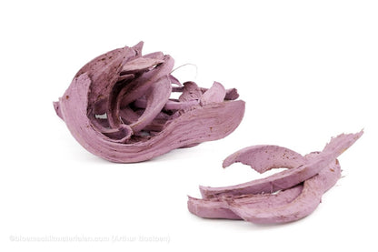 COCO CURL BLACKBERRY +/ - 500GR - bloemschikmaterialen.com