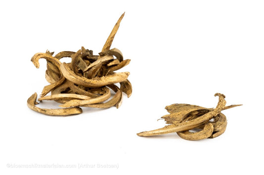 COCO CURL GOUD +/ - 500GR - bloemschikmaterialen.com