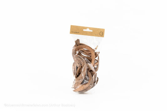 COCO CURL KOPER +/ - 75GR - bloemschikmaterialen.com