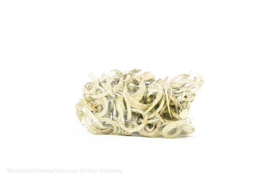 COCO CURL MUNT +/ - 500GR - bloemschikmaterialen.com