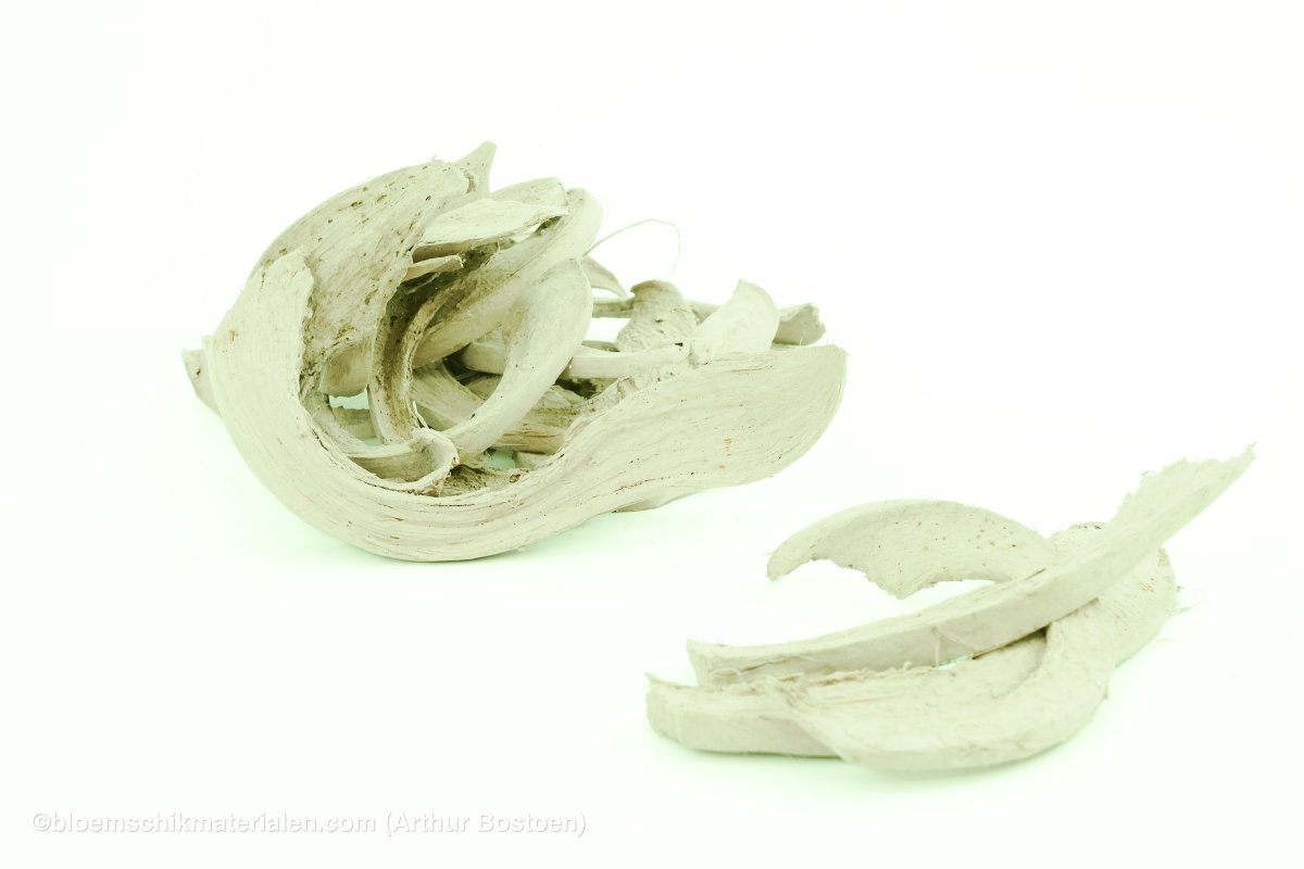 COCO CURL MUNT +/ - 500GR - bloemschikmaterialen.com