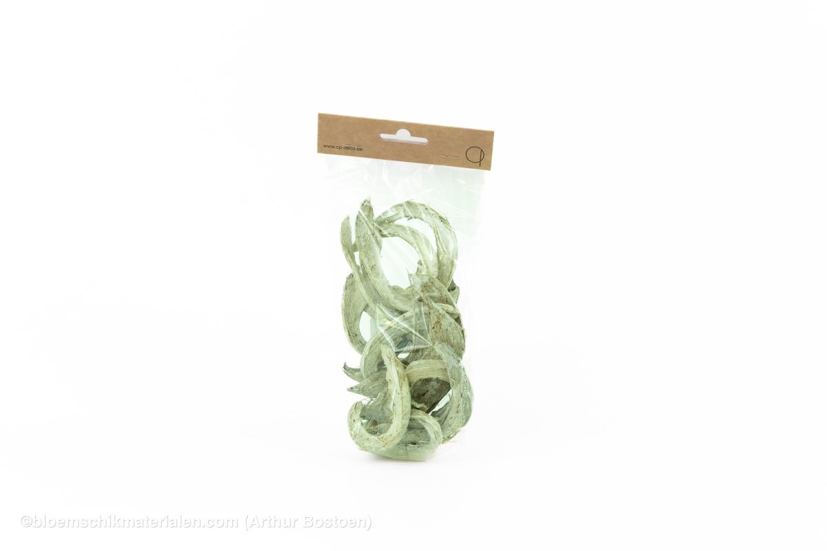 COCO CURL MUNT +/ - 75GR - bloemschikmaterialen.com