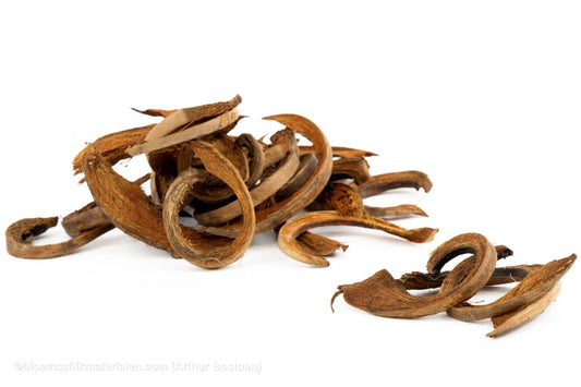 COCO CURL NATUREL +/ - 500GR - bloemschikmaterialen.com