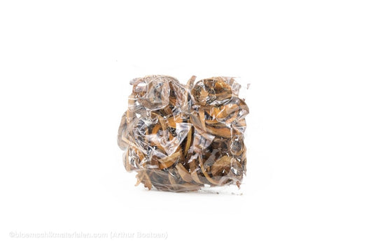 COCO CURL NATUREL +/ - 500GR - bloemschikmaterialen.com