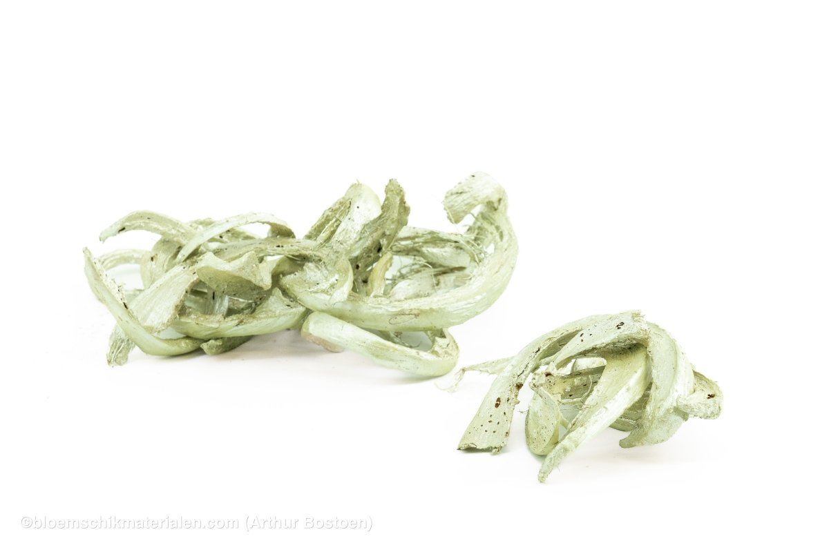 COCO CURL PEARL MINT +/ - 500GR - bloemschikmaterialen.com