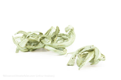 COCO CURL PEARL MINT +/ - 500GR - bloemschikmaterialen.com
