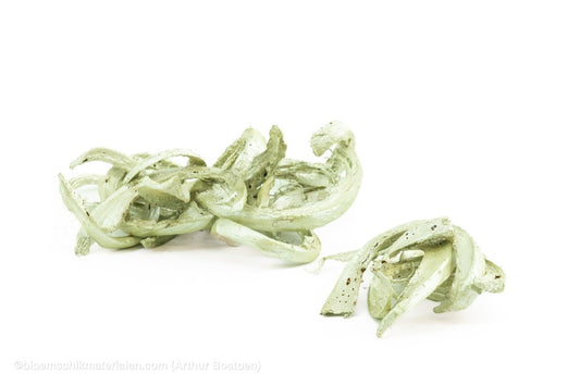 COCO CURL PEARL MINT +/ - 500GR - bloemschikmaterialen.com