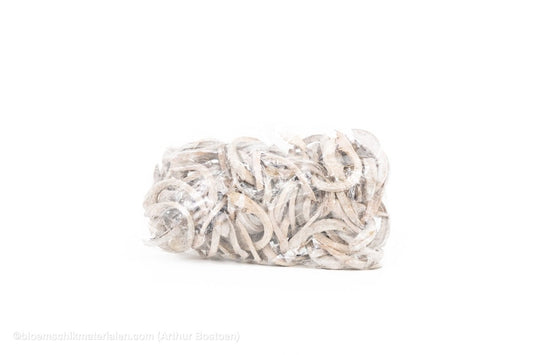 COCO CURL WHITE WASH +/ - 500GR - bloemschikmaterialen.com