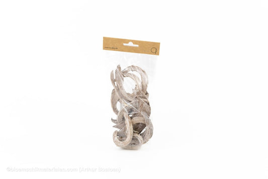 COCO CURL WHITE WASH +/ - 75GR - bloemschikmaterialen.com