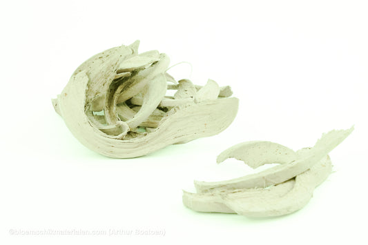 COCO CURL MUNT +/-75GR