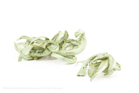 COCO CURL PEARL MINT +/-75GR