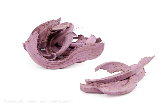 COCO CURL BLACKBERRY +/-75GR