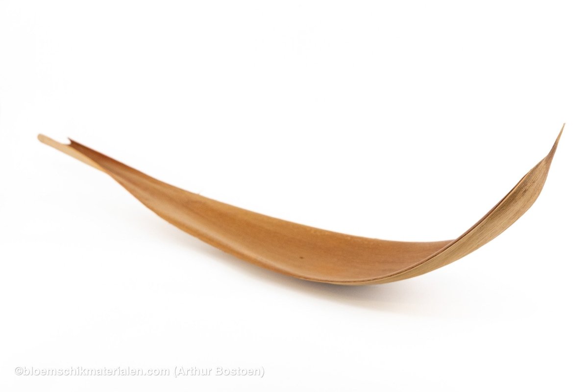 COCOS 60/80CM NATUREL 1ST - bloemschikmaterialen.com