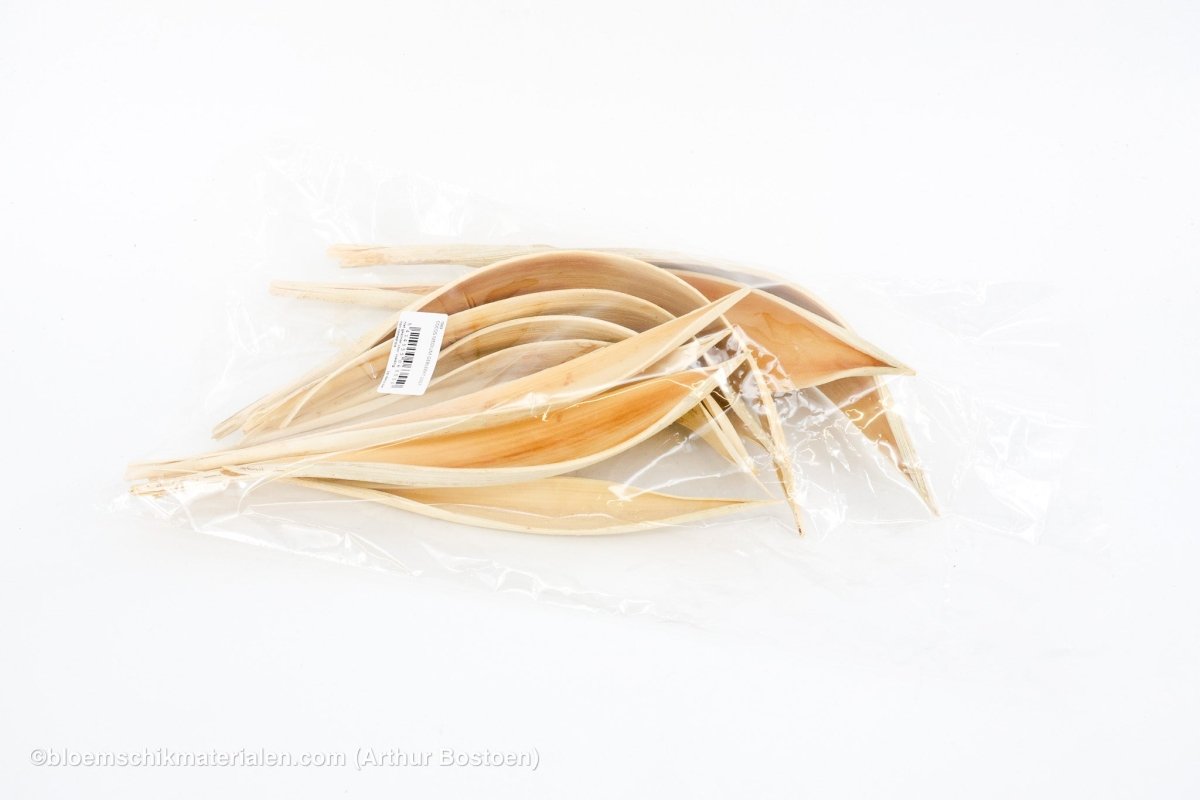 COCOS MEDIUM GEBLEEKT 10ST - bloemschikmaterialen.com