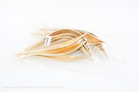 COCOS MEDIUM GEBLEEKT 10ST - bloemschikmaterialen.com