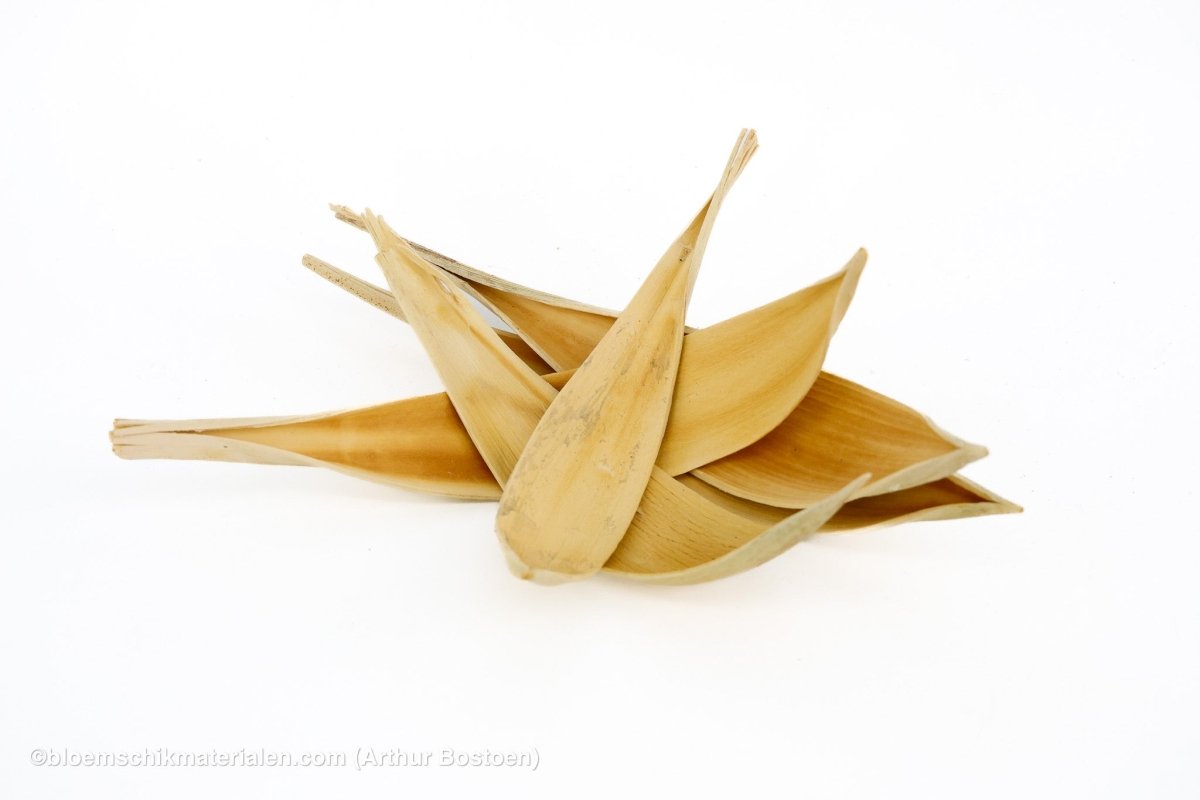 COCOS MEDIUM GEBLEEKT 5ST - bloemschikmaterialen.com