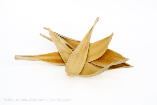 COCOS MEDIUM GEBLEEKT 5ST - bloemschikmaterialen.com