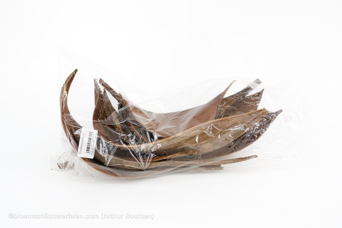 COCOS MEDIUM NATUREL 10ST - bloemschikmaterialen.com