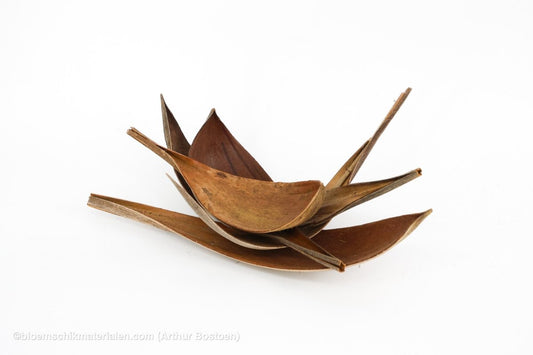 COCOS MEDIUM NATUREL 5ST - bloemschikmaterialen.com