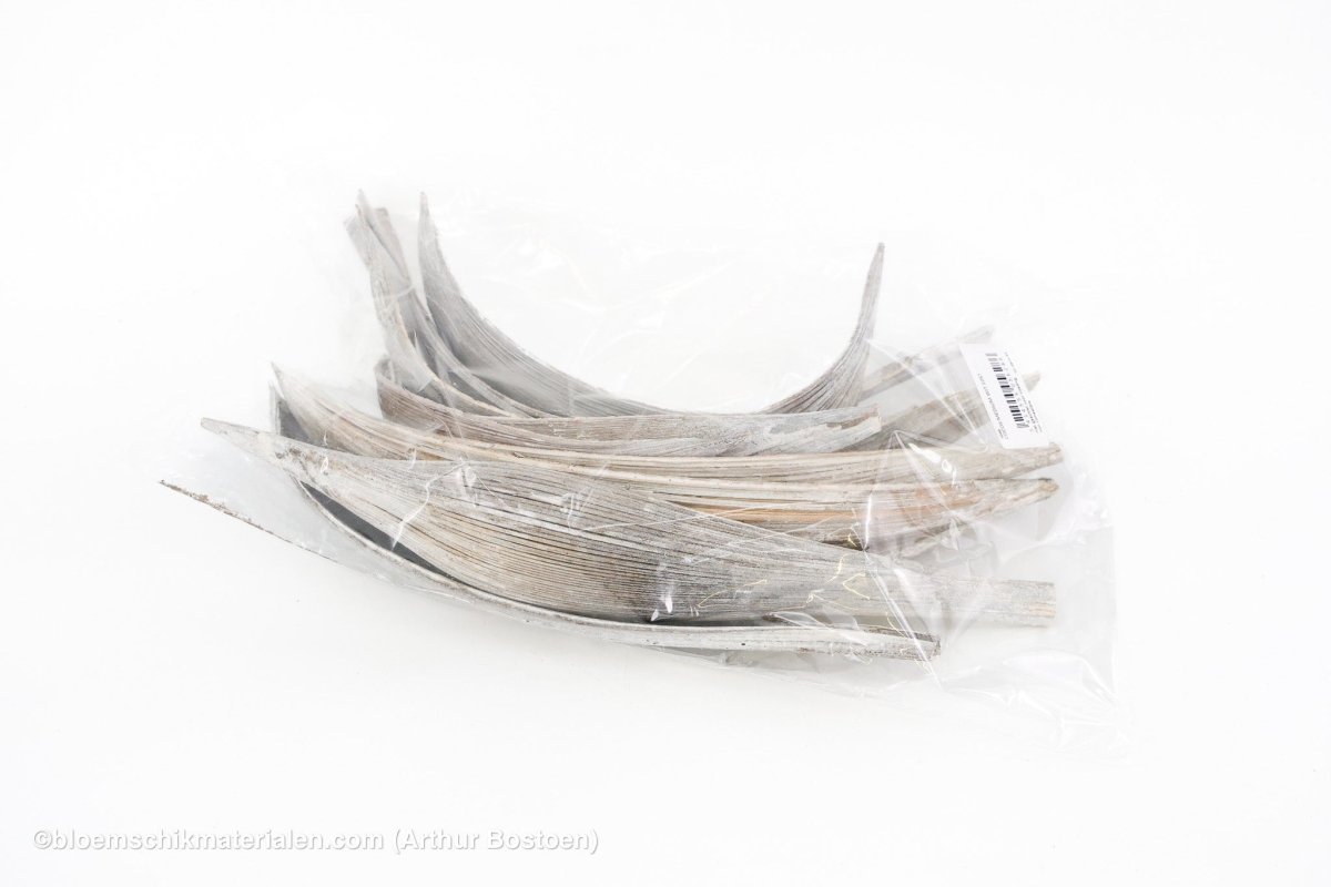 COCOS MEDIUM WIT 10ST - bloemschikmaterialen.com