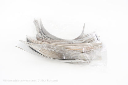 COCOS MEDIUM WIT 10ST - bloemschikmaterialen.com