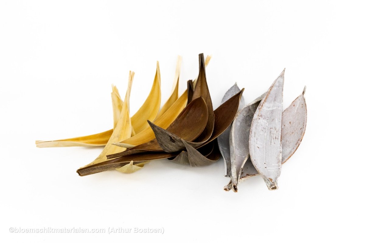 COCOS MEDIUM WIT 5ST - bloemschikmaterialen.com