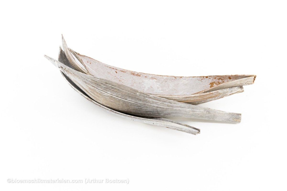 COCOS MEDIUM WIT 5ST - bloemschikmaterialen.com