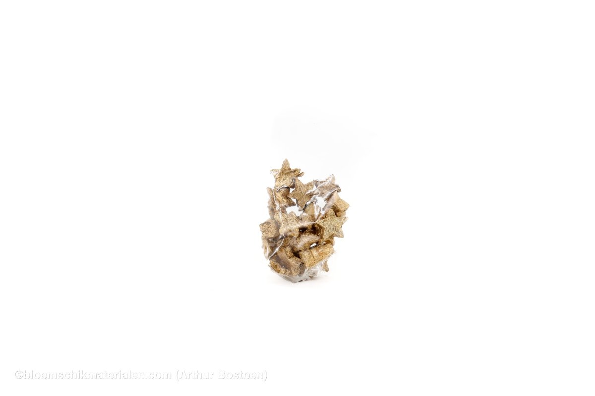 COCOSNOOT STERREN 3CM GOUD 20ST - bloemschikmaterialen.com