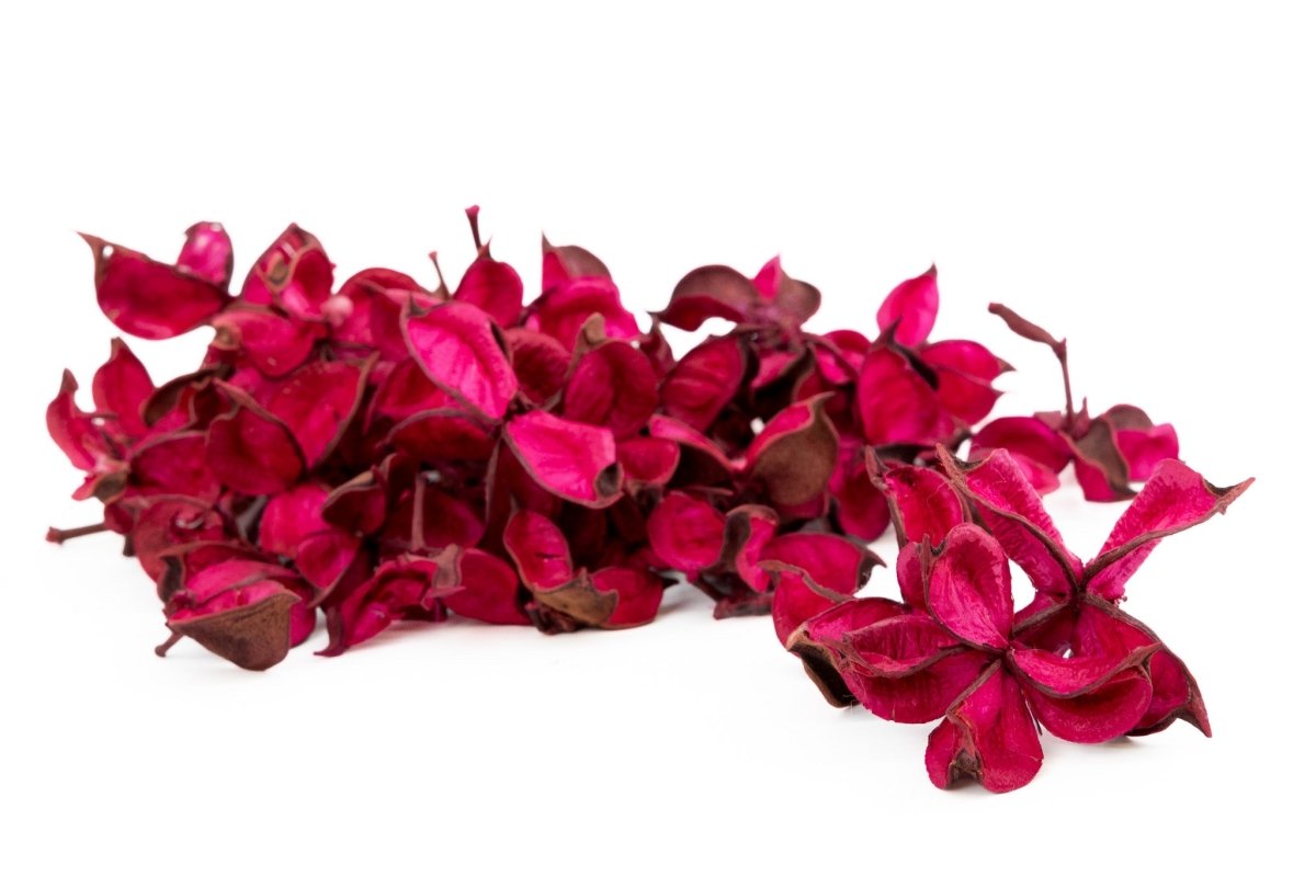 COTTON PODS CYCLAAM +/-250GR - bloemschikmaterialen.com