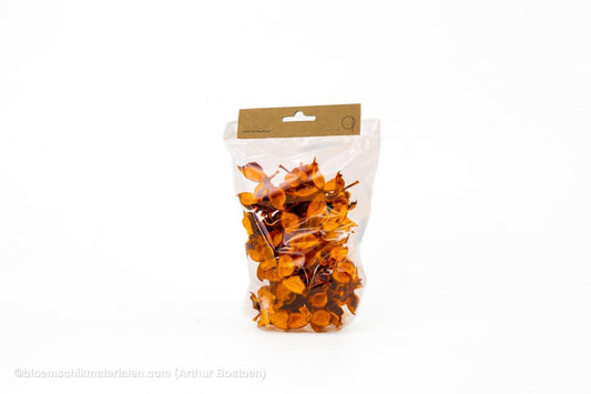 COTTON PODS ORANJE (ABRIKOOS) +/-50GR - bloemschikmaterialen.com