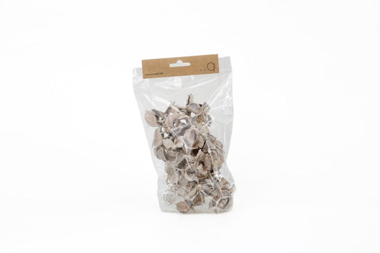 COTTON PODS WHITE WASH +/-50GR - bloemschikmaterialen.com