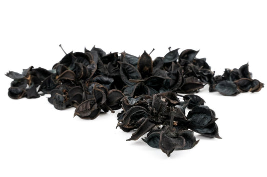 COTTON PODS ZWART +/-250GR - bloemschikmaterialen.com